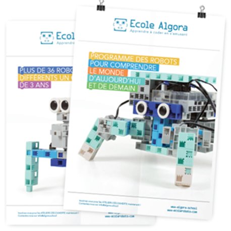 Affiche A2 Recto 120g - 5 ex