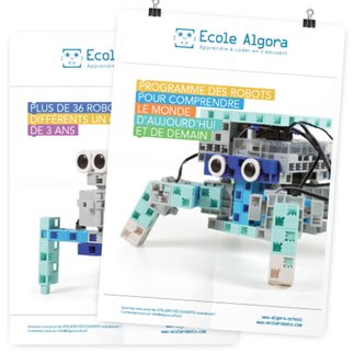 Affiche A2 Recto 120g - 5 ex